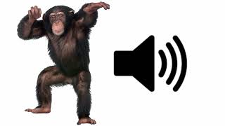 Angry Monkey  Sound Effect [upl. by Custer]