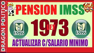 1079🔥PENSIÒN IMSS LEY 1973 👍😃✅ pension noticias ayudasocial pagos [upl. by Fulviah]