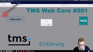 Einführung  TMS Web Core 001 [upl. by Saimerej]