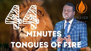 44 MINUTES TONGUES OF FIRE BY APOSTLE AROME OSAYI [upl. by Annaoj473]