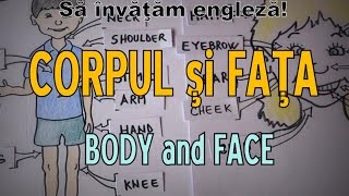 Sa invatam engleza  CORP şi FAŢĂ  Body and Face  Lets learn English [upl. by Ygief25]