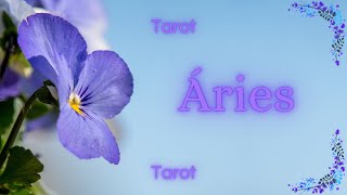 Áries♈ Tarot✅ REVELAÇÃO PODEROSA Para o Signo de Áries💲💰🌞🎁🏆 Preparese✨✨✨ [upl. by Nimajaneb]