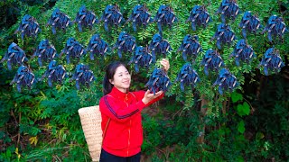 Single Girl Harvest gleditsia amp Goes To Market Sell  Harvesting And Cooking  Lý Song Ca [upl. by Okoyk]