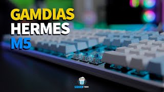 Overview GAMDIAS Hermes M5 QUE TECLADO LINDO [upl. by Ynaffet]