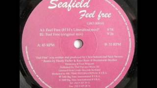 Seafield  Feel Free HHs Liberation Mix [upl. by Arekahs]