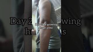 Day 21 of growing huge arms forearms armwrestling gym workout homeworkout triceps hands [upl. by Ubald]