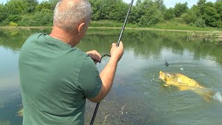 Pecanje soma šarana i štuke kod Čačka  Zapadna Morava jezero Samaila i Međuvršje FULL VIDEO [upl. by Anestassia]