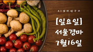 7월 16일 서울경마 인공지능 분석예상 [upl. by Adialeda]