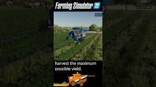 How to take care of a vineyard farmingsimulator22 farmingsimulator22gameplay [upl. by Aniled]