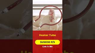 Efficient Heater Tube for Poultry Comfort [upl. by Blaire169]