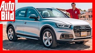 Erste Fahrt im neuen Audi Q5 2017 [upl. by Talanian]