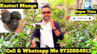 how to R2E2 Mango Plants  Kasturi Mango Plants [upl. by Grimaud26]