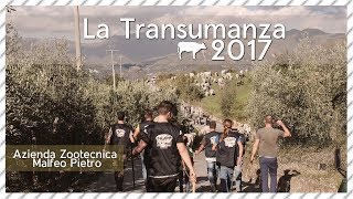 La Transumanza 2017Azienda Malfeo [upl. by Otilesoj]