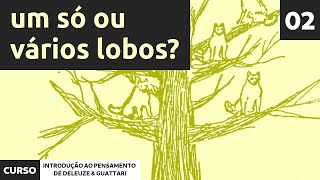 02  Um só ou vários lobos  Curso de introdução ao pensamento de Deleuze e Guattari [upl. by Rhyne245]