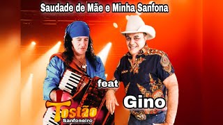 Saudade de Mãe e Minha Sanfona Tostão Sanfoneiro feat Gino Gino e Geno [upl. by Oag467]