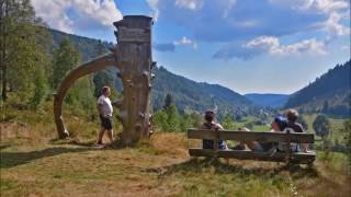 Schwarzwald Süd rund um das MenzenschwanderTal [upl. by Onej]