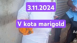 v kota flowers rose 3112024 video food viralvideo trending flowers marigold vkota fyp [upl. by Epoillac]