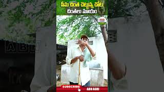 ఎనకట ఎక్కడబడితే అక్కడుండేవి ఈ చెట్లు చాలా ప్రొటీన్స్ ఉండే కాయలు దీనివి   ABN Agri shorts [upl. by Eamanna514]