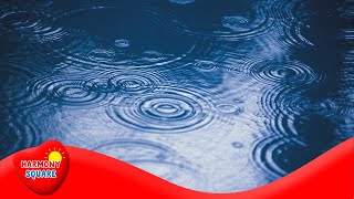 Precipitation  More Science on the Learning Videos Channel [upl. by Olegnaleahcim606]