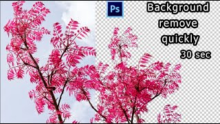 How to remove Random Tree background quickly 30 second in photoshop cs6 Advance background remove [upl. by Zilla]