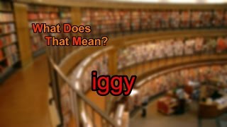 What does iggy mean [upl. by Darci517]