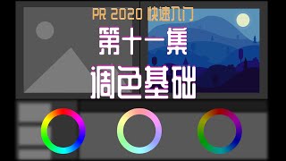 PR 2020快速入门！第十一集：调色基础 [upl. by Queri]