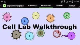 Cell Lab Seed walkthrough [upl. by Sabra]