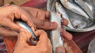 Fish Cutting Skills  Salaya fish Lets clean up quickly  Best clean skills [upl. by Wells]