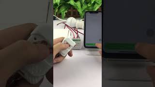 Tuya WiFi Switch APP Control Comptible RF433MHz Remote Controller Alexa Google Home Voice Control [upl. by Pillihp]