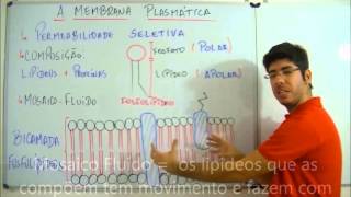 AULA BIOLOGIA FUNDAMENTOS DE BIOLOGIA CELULAR FEV 13 PROF FELIPE JARDIM [upl. by Ikkiv79]