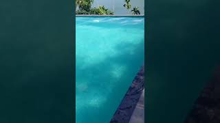 Lagoon holiday 🥰 Kozhikode narinada Resortfamily vlog [upl. by Arod]