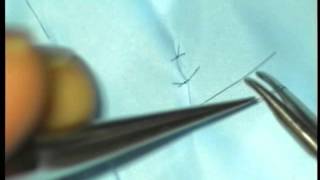 Basic microsurgery suturing skills for nerve repair [upl. by Arahsit]