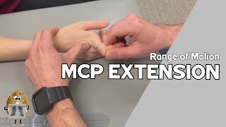 ROM Metacarpophalangeal MCP Joint Extension Range of Motion [upl. by Ennaeed975]