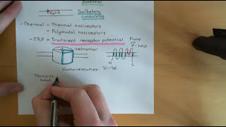 Pain and Analgesic Drugs Part 2 [upl. by Arymat]