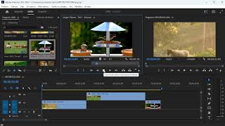 Cómo editar un video en Premiere Pro 2023 [upl. by Aria]