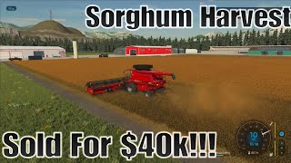 Piney Run Solo Episode 1 Sorghum Harvested amp Sold For 40k  Swathing Hay amp More FS22 PS5 [upl. by Lilas560]