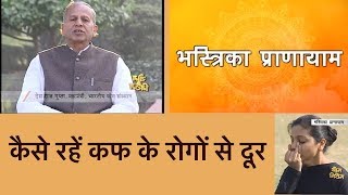 भस्त्रिका प्राणायाम  Bhastrika pranayama भस्त्रिका प्राणायाम करने का तरीका और फायदे [upl. by Kuster955]