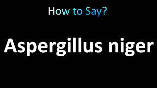 How to Pronounce Aspergillus niger [upl. by Maitund]