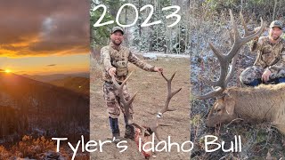 2023 Idaho Bull Elk  Tylers Bull [upl. by Enilkcaj]