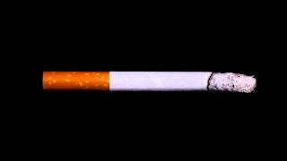 Cigarette Timelapse Burning Down  Free Footage  Full HD 1080p [upl. by Nina]