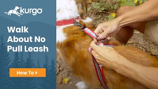 How to Use the Kurgo Walk About No Pull Leash [upl. by Divadleahcim48]