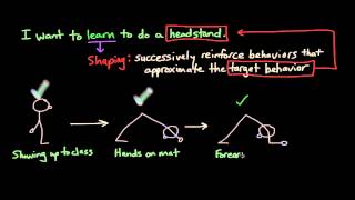 Operant Conditioning Shaping [upl. by Atiekan]