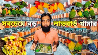 সবচেয়ে বড় লাভবার্ড খামাররেয়ার মিউটেশনের নতুন খামার  Biggest Lovebird Farm In BDParrot Farm BD [upl. by Notyarb]