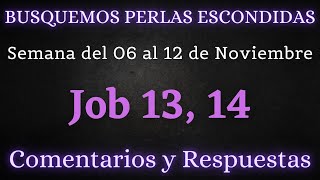 BUSQUEMOS PERLAS ESCONDIDAS ✅ SEMANA DEL 06 AL 12 DE NOVIEMBRE ♡ JOB 13 14 [upl. by Lammond895]