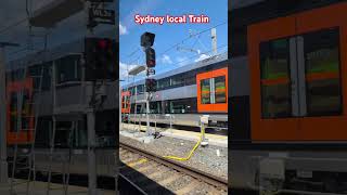 Sydney Local Train australia nsw sydney public transport travel shorts [upl. by Ahders]