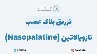 تزریق بلاک عصب نازوپالاتین Nasopalatine  دکتر اشکان بادکوبه [upl. by Stringer]