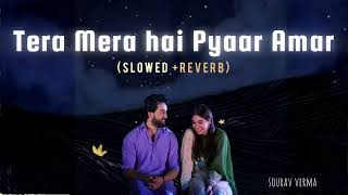 Tera mera hai Pyaar amar Slow Reverb Lofi Ahmed Jahanzeb  Ishq Murshid Ost  Sourav Verma [upl. by Edyaw]