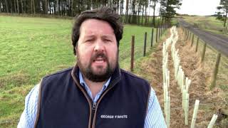 GFW Farm Focus  Countryside Stewardships Schemes [upl. by Aiciles]