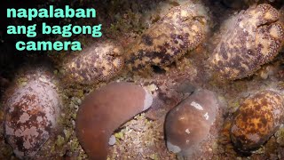 ep356unang sisid ng bagong camera napalaban sa balatan at copapa [upl. by Akela448]