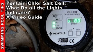 Pentair iChlor Salt Cell What Do all the Lights Indicate A Video Guide [upl. by Affrica]